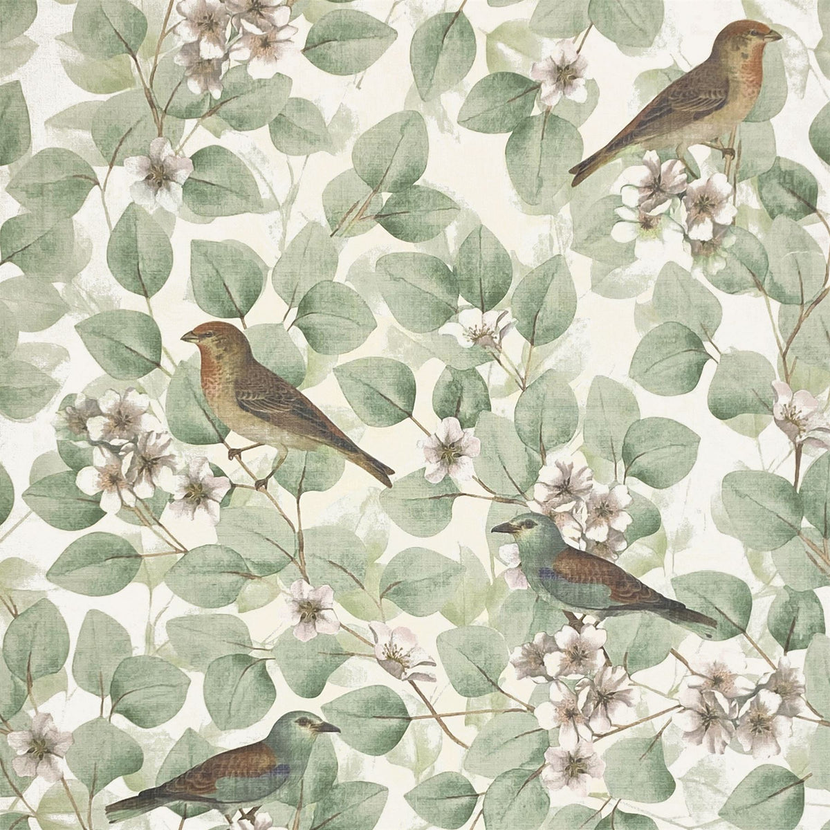 Birds & Blossoms Green Wallpaper image 0