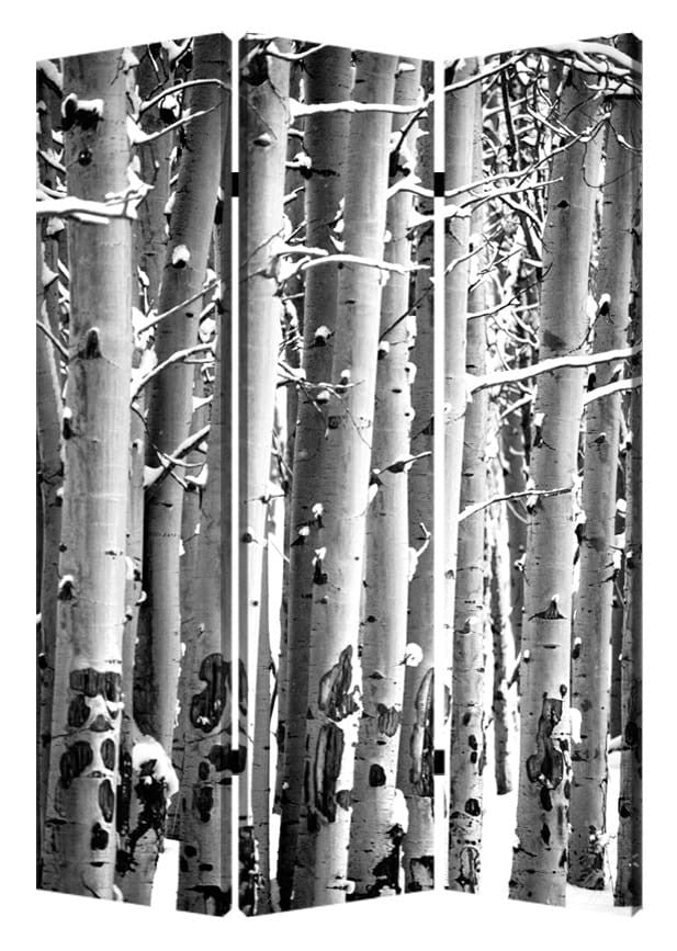 48" X 72" Gray And White Wood Canvas Birch  Screen-0