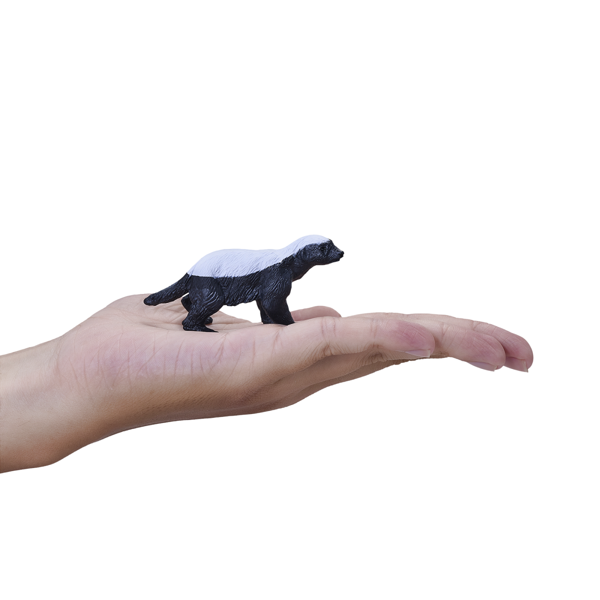 Honey Badger Male Toy  Realistic Wildlife Figurine image 3