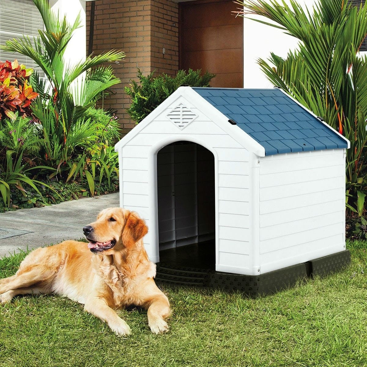 Medium size Dog House Outdoor White Blue Plastic with Elevated Floor-2